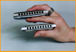 custom1.gif (31290 �o�C�g)